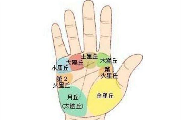 月丘掌纹图解 月丘掌纹的特征及影响解析