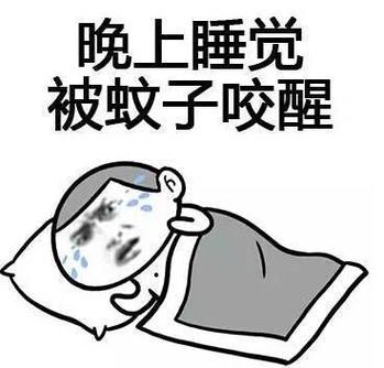 O型血人梦想破灭该咋办?