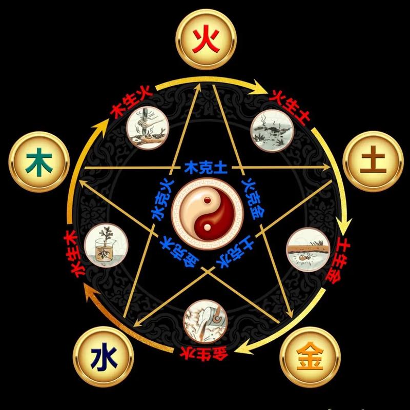 八字木多的人命运如何?了解性格很重要
