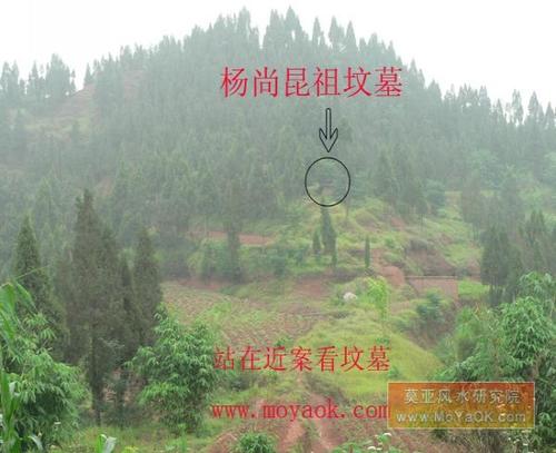 周公解梦梦见坟墓