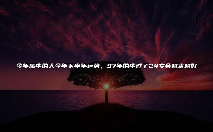97年的牛过了24岁会越来越好