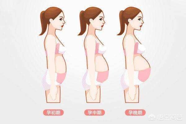 梦见自己的肚子小
