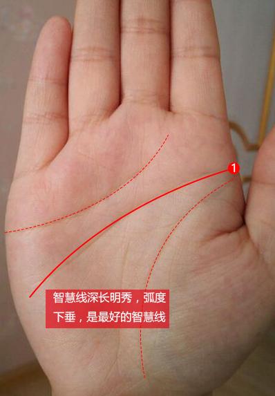 智慧线深明而长好吗？