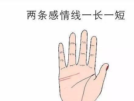 感情线有两条什么说法