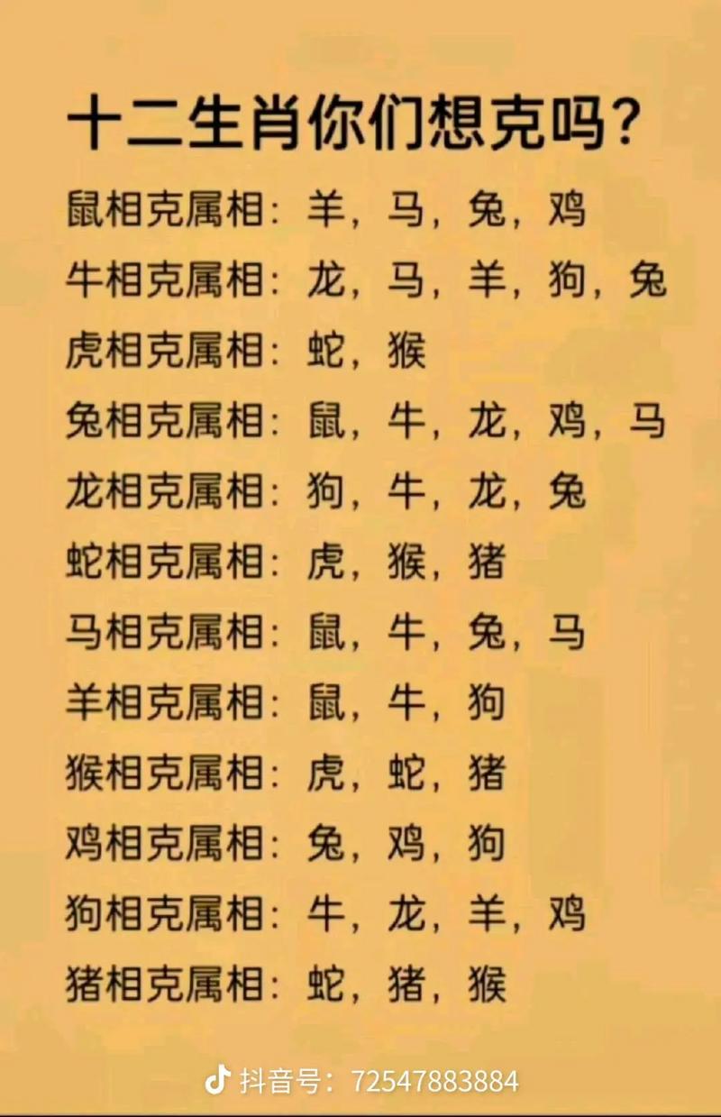 属相不合真的准吗
