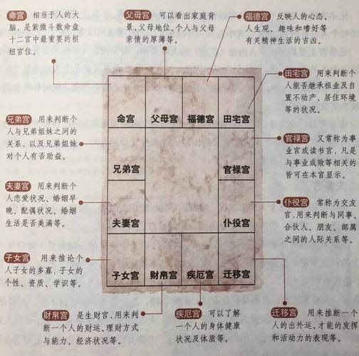紫微斗数排盘化权星入紫微命盘十二宫解析