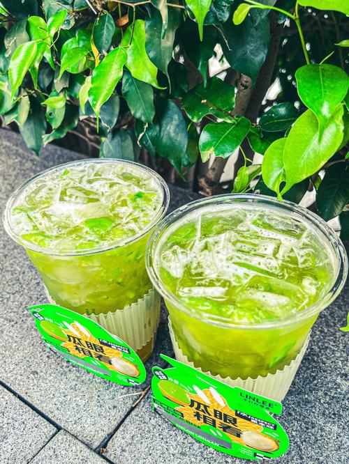 属龙最喜欢什么饮料