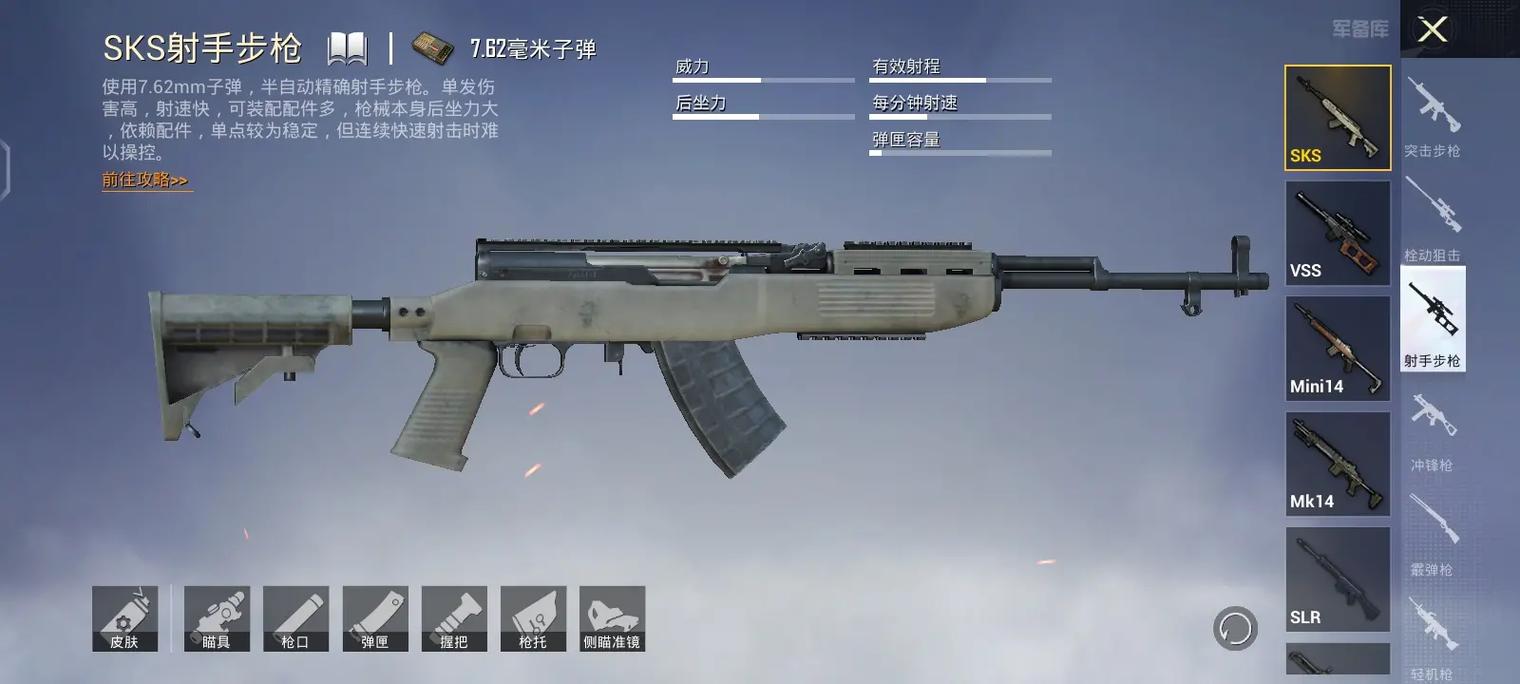 和平精英射手座最适合的枪