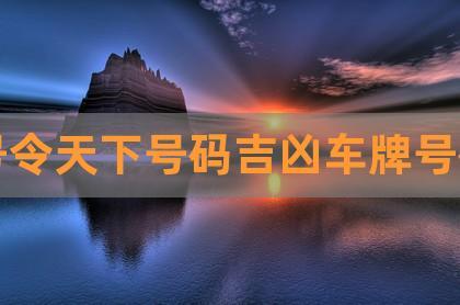 车牌照测吉凶号令天下