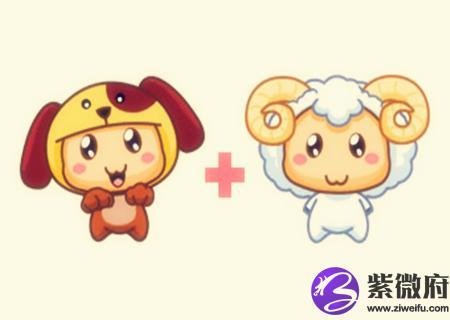 属羊的生了狗宝宝不合怎么办,如何化解属相不合