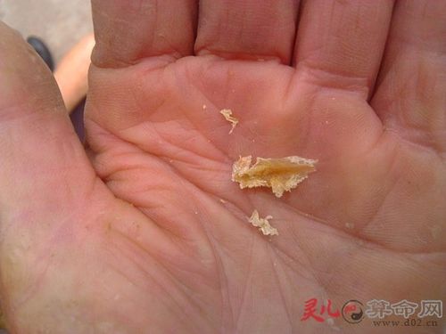梦见耳屎是什么意思