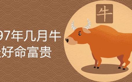 1997年几月牛命苦