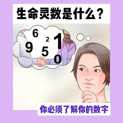 十二生肖生命灵数准吗