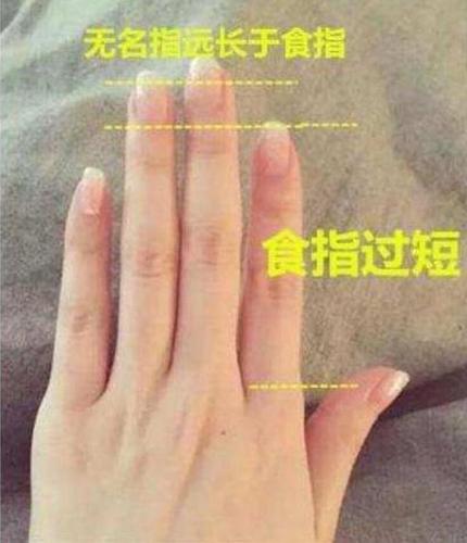 食指比小指短代表什么