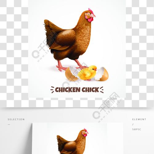 梦见母鸡孵出两只小鸡