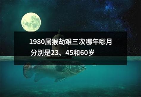 1980属猴劫难三次能度过吗