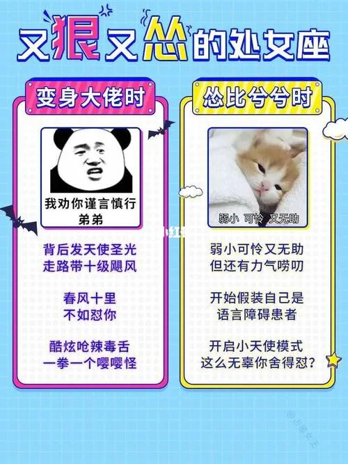 最怂的星座 吵架最狠,吵完最怂的星座~