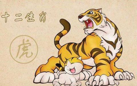 属虎和什么属相最配财运福运好