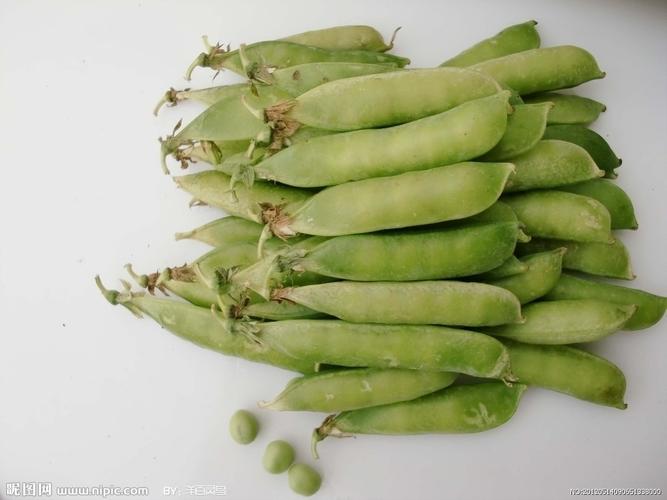 梦见野地里的豌豆角