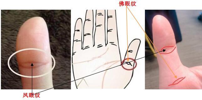 与佛道有缘的手纹