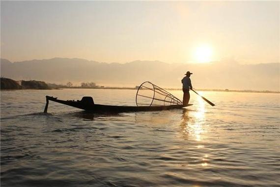梦见海里浦鱼