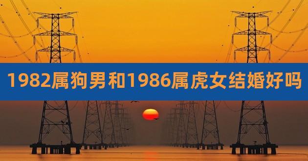 86年虎男和86年虎女的婚姻