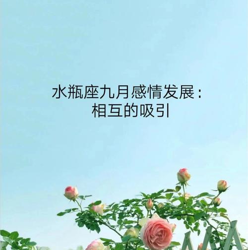 什么样的偶像剧会吸引水瓶座?