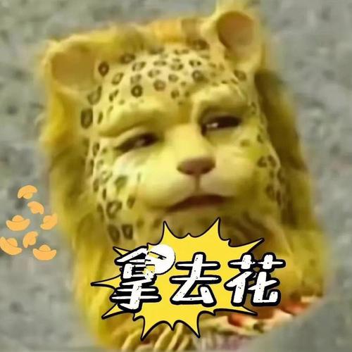 喜欢金钱却又不肯奋斗的四大星座