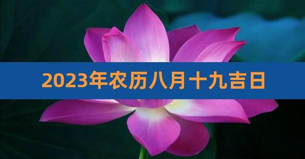 2020年农历八月生子吉日哪天好,农历八月的鼠宝宝好不好?