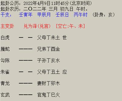 梅花易数断得的什么病