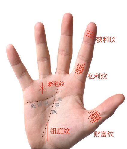 手掌里面的财富特征