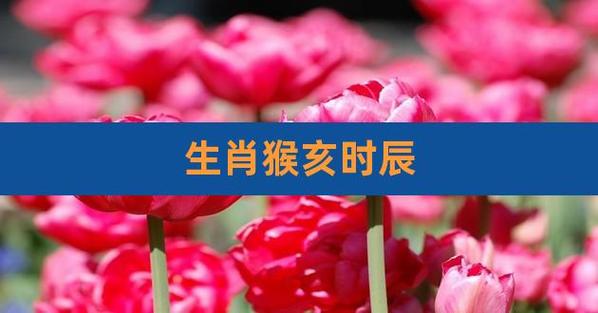哪个时辰出生的属猴最好