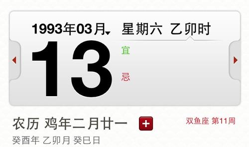 1993 2月21日什么星座
