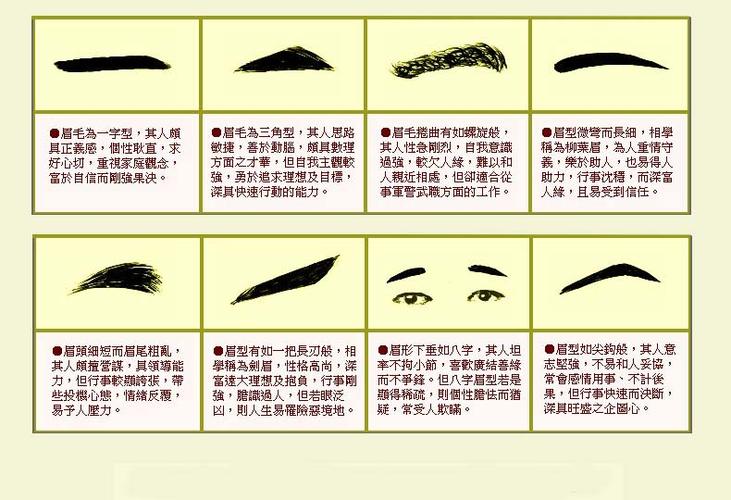 眉毛面相图解