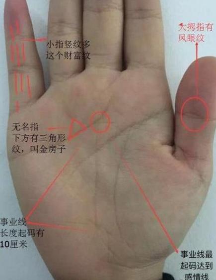 掌纹中两条线看谁有圣斗士危机