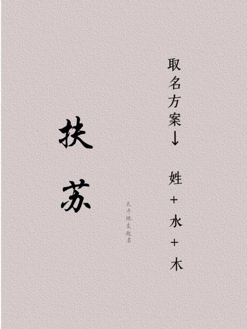 带朗字取名男孩名字