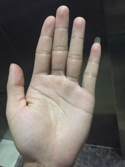 东莞有没有看手相的地方
