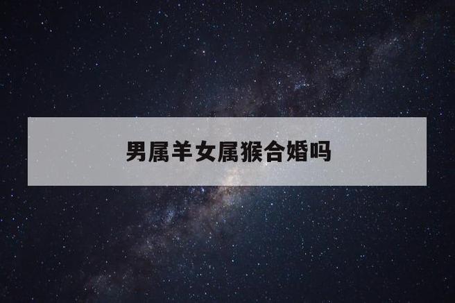 男属羊女属猴的婚姻