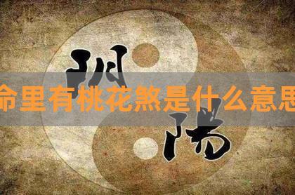有桃花运的人八字,什么样的人有桃花运