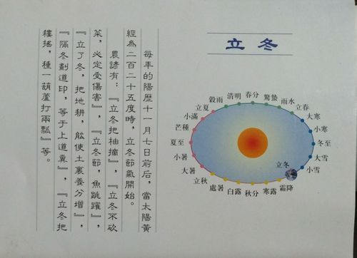 立冬开什么花?立冬太阳直射点在什么位置?