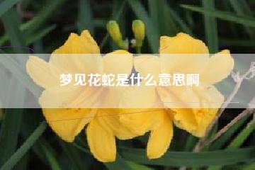 梦见花盆里有蛇是什么意思