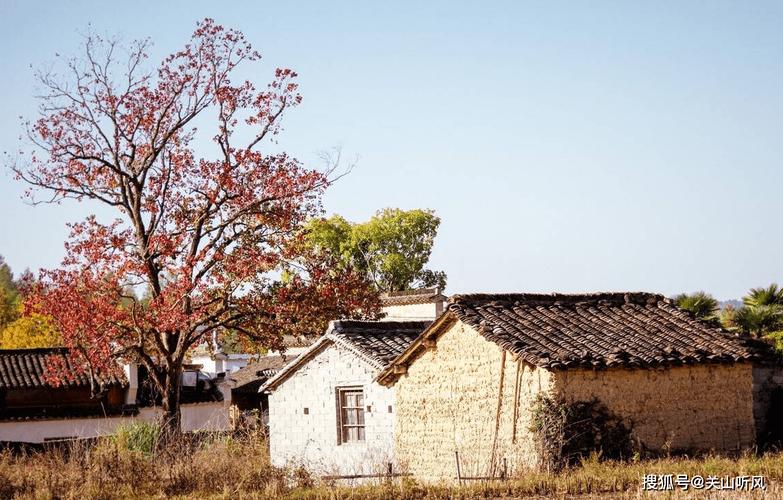 口袋房家财不聚,儿女难管是什么样的房子