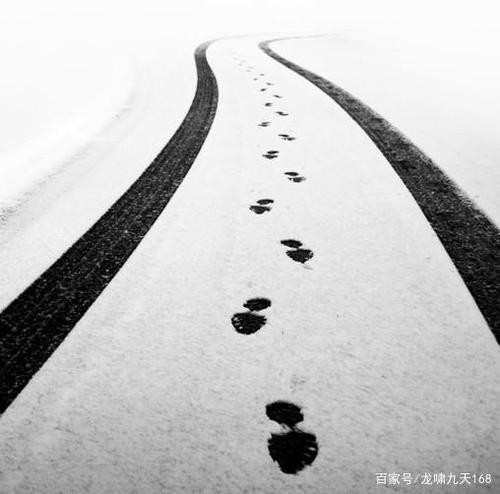 脚下的路,需要自己动手开的生肖