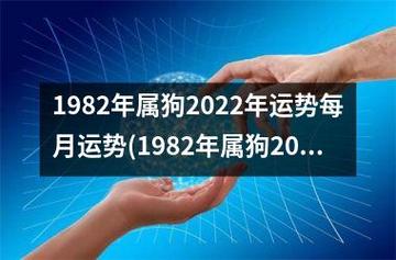1982年的人2022年运势如何