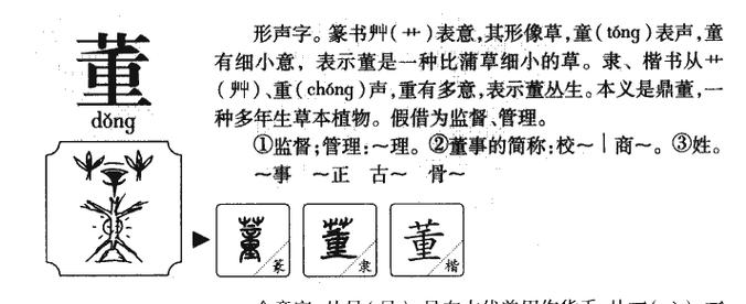 董字在第一个字的名字
