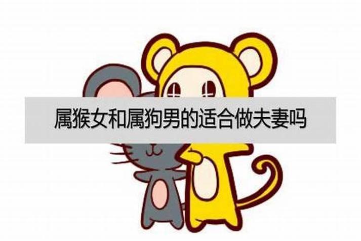 属猴女和属狗男的相配吗?属狗的一生的财运怎么样?