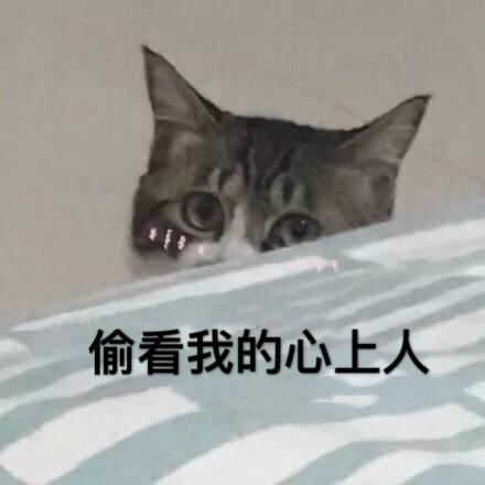 梦见我的心上人了