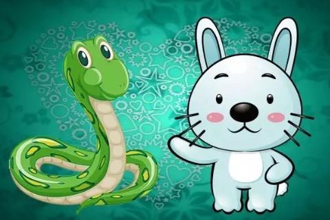 生肖属兔妈妈和生肖属蛇爸爸2020年适合要小孩吗,有福气不?