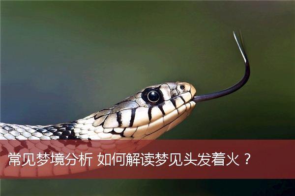 梦见头发着火是什么意思