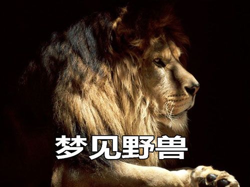 梦见躲避野兽是什么意思